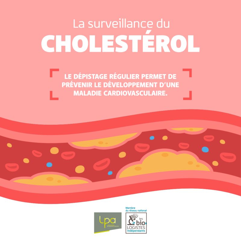 Le cholestérol
